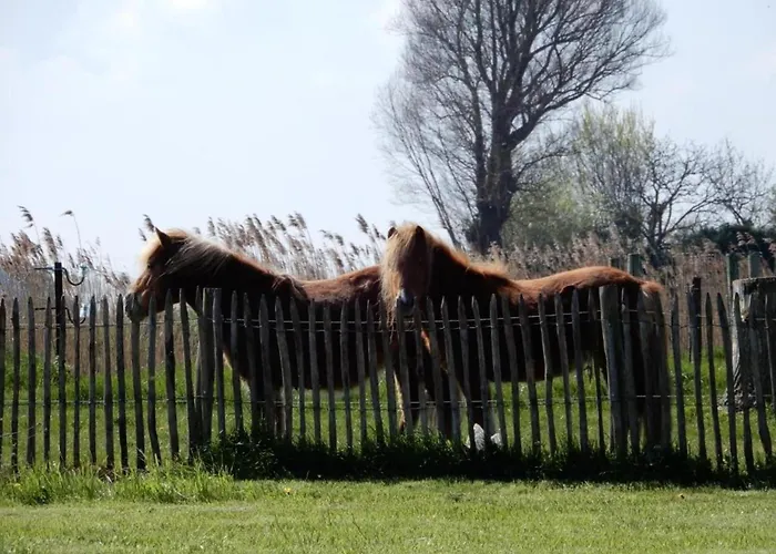 Daire In With Sea Views